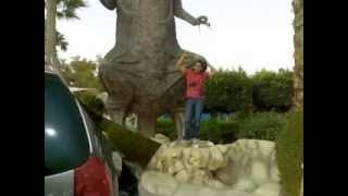 pluto biarkanlah aku dream band 2005