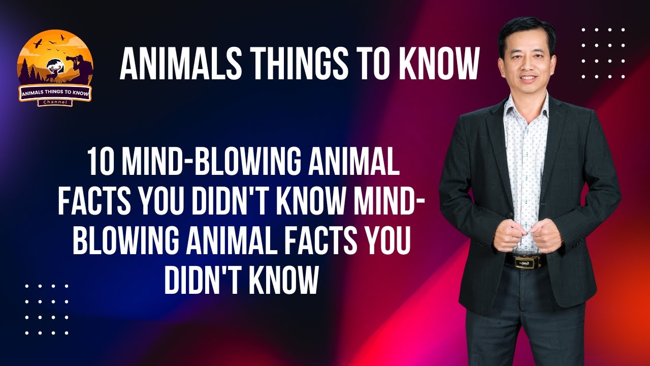 10 Mind Blowing Animal Facts You Didnt Know - YouTube