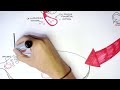 Beginning of video