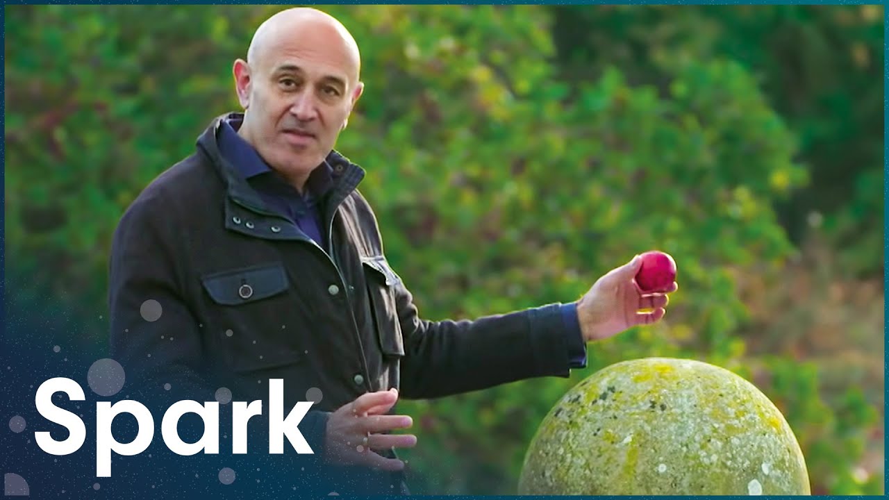 How Gravity Shapes The Human Body With Jim Al-Khalili | Gravity And Me | Spark