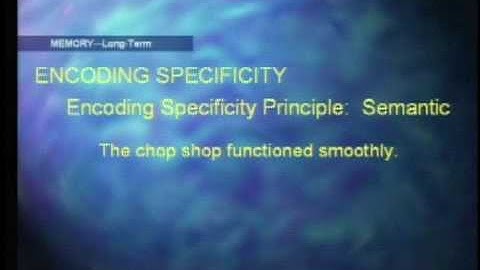 PSYC 3350 LECTURE 10