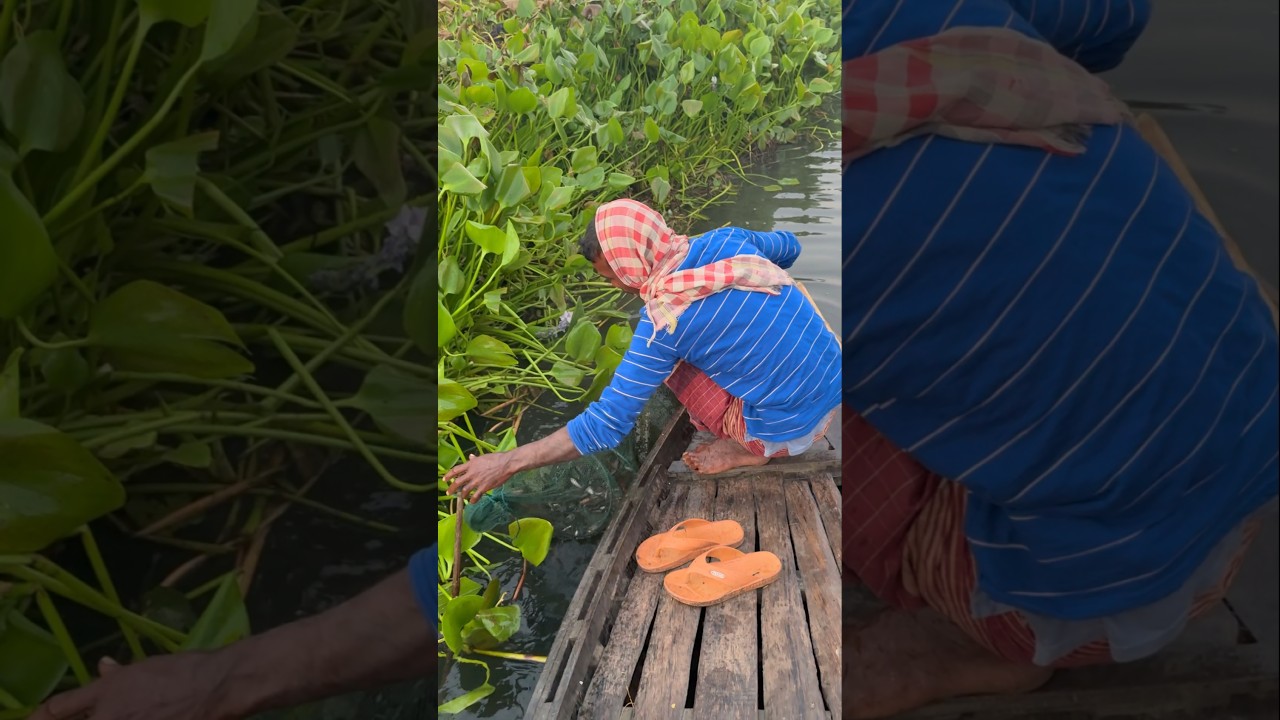 Wow amazing village fishing 