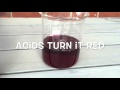 How to make a red cabbage indictor