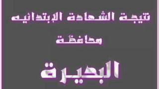 نتيجة الشهادة الإبتدائية 2013 محافظة البحيره