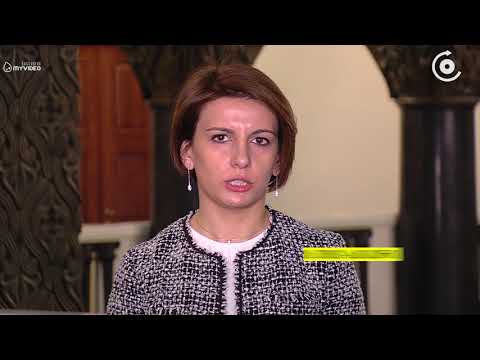 პარლამენტის ვიცე-სპიკერმა ევროსაბჭოს დელეგაციასთან საკონსტიტუციო რეფორმა განიხილა