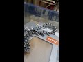 Motorlu testere zincir kesimi [chain cutting]