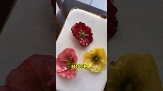 The "Forever Flowers" Business Idea..