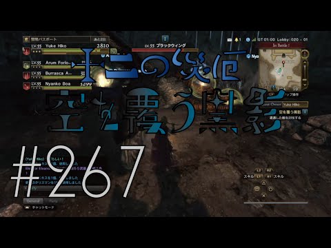 【DDON】1からするDDON! 十二の災厄・空を覆う黒影Part267