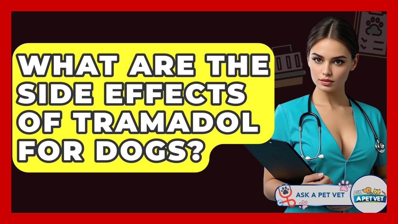 What Are The Side Effects Of Tramadol For Dogs? - Ask A Pet Vet