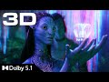 4k 3d the ceremony  avatar dolby 51