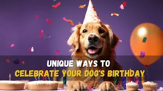 Dog's Birthday Planning and Ideas