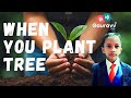 When you plant a tree a poem by lenore hetrick  gauravv talks