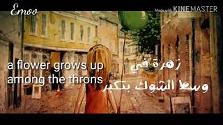 Zahra(Hamza Nemra)|أغنية زهرة (مترجمة) لأول مرة