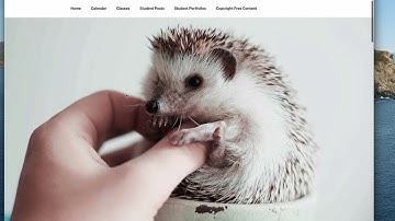 Create a Featured Image in WordPress