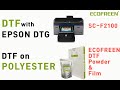 DTF on POLYESTER with EPSON F2100 series / F3070,F3030,F3060,F3050,F2100,F2160,F2140,F2150