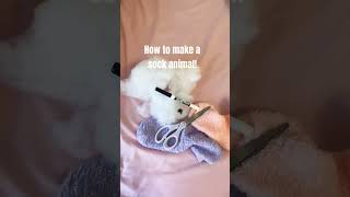 Make a sock animals w/ me#cute #diy #animal #socks