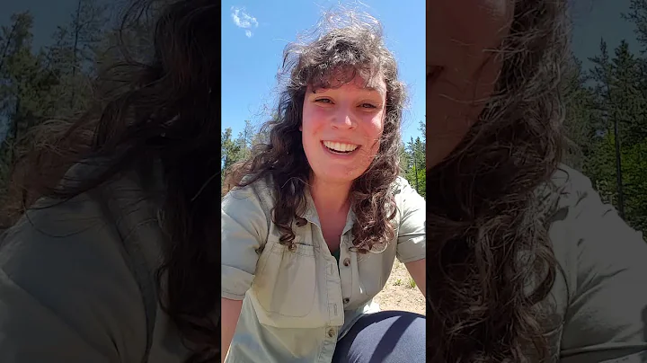 Fieldwork Feature: Sara Kelso