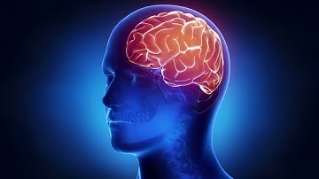 How our brain works – Part 2 – 3D Animation