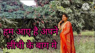 lichi ka bagicha#video #blog #shanti_majhi #ghorkhpuriyabhujiup53