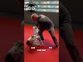 Toreando X Pass to Knee on Belly: BJJ Drill Tutorial #shorts