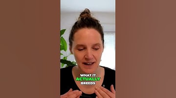 Negative Self-Talk - Stop the Cycle Now✨ Language Learning Fluency  #languagelearning #learnfast