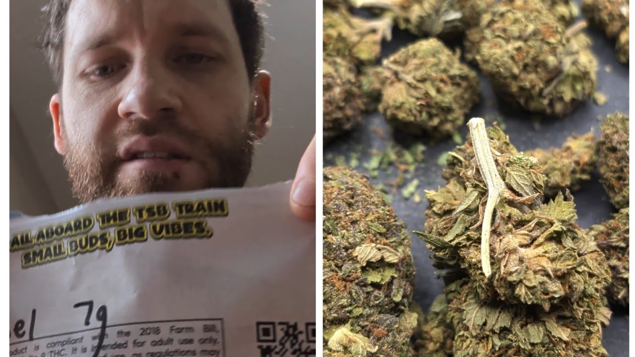 "Chiesel" Thca Small Buds outdoor 🧀⛽ dank hemp