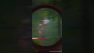 In live sulla piattaforma Viola! #ps5 #fortnite #sniper #fortniteclips #twitch #gaming #foryou