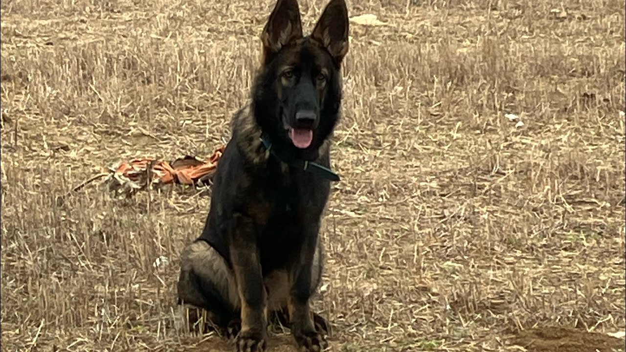 CALMA, TRANQUILO, SERENO, SOSIEGO, TEMPLE.