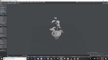 Making a Leafy Plant in Lightwave 3D