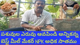 మొక్కలకు అన్నిటికన్న మంచి యెరువు#The Best Fertilizer #subscribetomychannel #gardeningtips