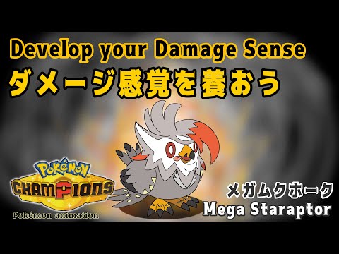 【ポケモンチャンピオンズ】ダメージ感覚を養おう！：メガムクホーク編