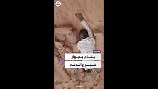 بدا كالميت.. شاب جزائري يهز السوشيال ميديا بنومه لمدة عامين بجوار قبر أمه