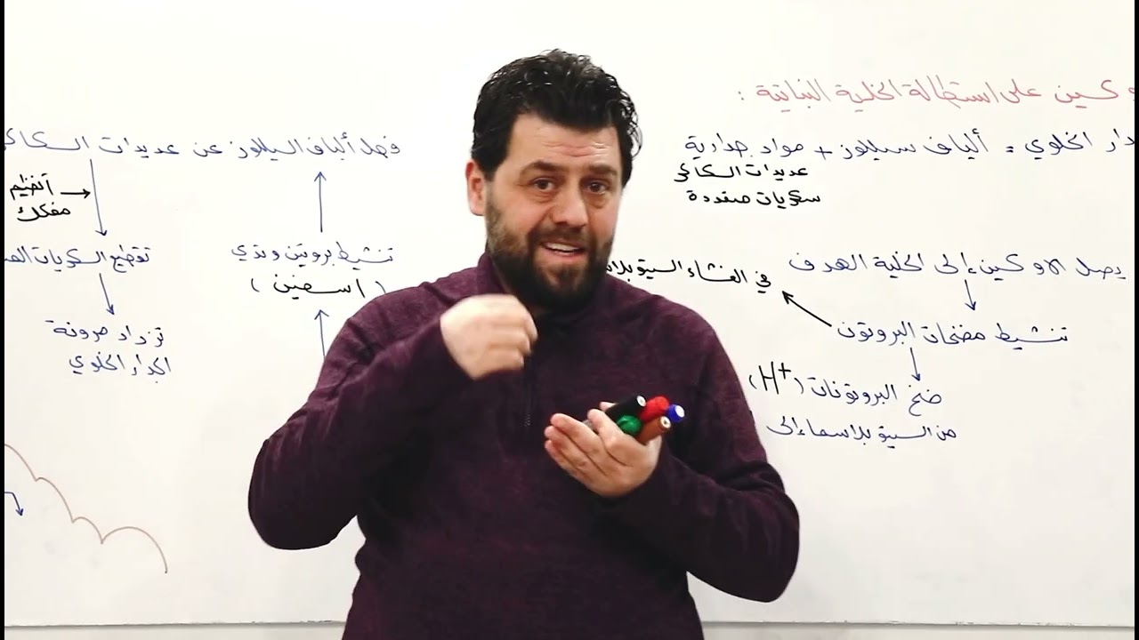 التنسيق الكيميائي لدى النبات ( آلية تأثير الأوكسين في استطالة الخلية النباتية )