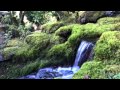 Waterfalls at the Butchart Gardens