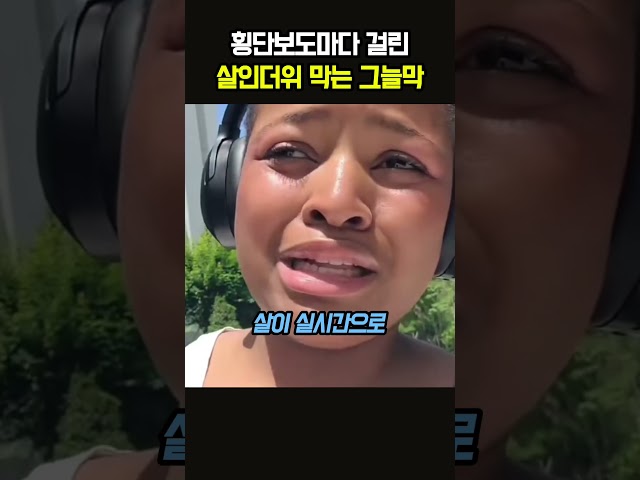 "길거리에 웬 거대한 양파망이 서 있죠?" 한국 횡단보도마다 설치된 정체불명의 막을 본 외국인 반응