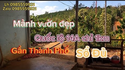 Mảnh vườn cà phê xen hồ tiêu đẹp có nhà xây , giếng đào Giá rẻ #bđs #đấtđăknônggiárẻ #bánđấtđăknông