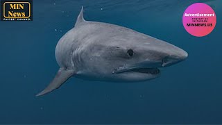 'Jackass' star Sean 'Poopies' McInerney bitten by shark during Shark Week stunt