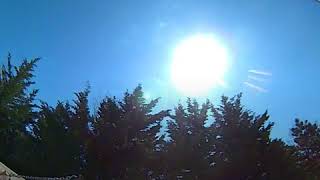 IMG 0685