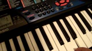Teclado Casio CTK-495