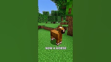 😨Minecraft, BUT I Turn Into a RANDOM Mob Every 30 Seconds #minecraft #shorts