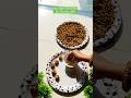 Pigmentation Food Series Day -13|Bhuna Chana Skin Clear Karne Ka Desi Super Food#झाइयां#Viral#Shorts
