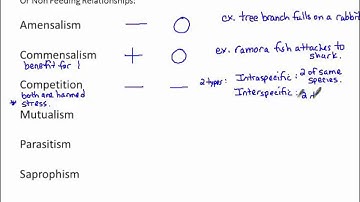 Ecosystem Basics Part 1