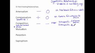 Ecosystem Basics Part 1 Ecosystem Basics Part 1