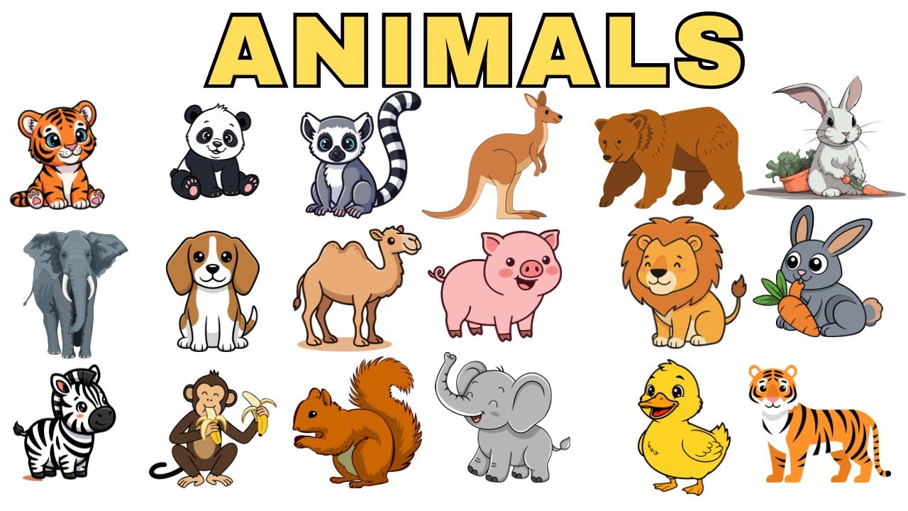 20 Animals Names for Kids | Animals Names for baby