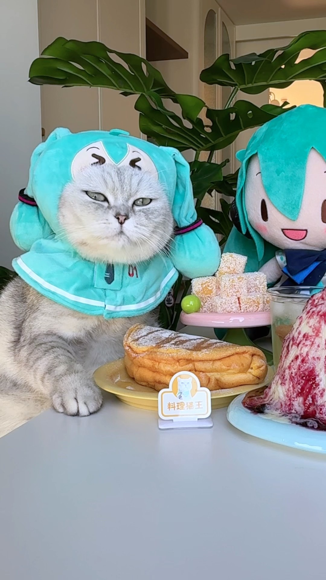 3 eggs to make a cake #catofyoutube #food