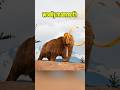 😱 Scientists Are Bringing EXTINCT Animals Back?!part 4