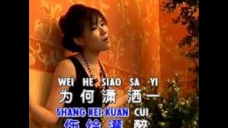 HUANG JIA JIA 黄佳佳 - DUO QING REN DOU BA LING HUN GEI LE SHEI 多情人都把灵魂给了谁