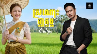 Download Lagu SATIYA - ស្រណោះផ្កាក្ទម្ព / Sronos Pka Ktom [Official Lyric Video]  MP3