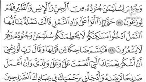 و حشر لسليمان ... سورة النمل القارىء سماتي #بن_عنيبة