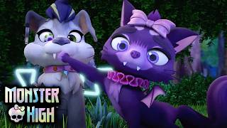 The Sea Monster Talisman Search Goes Wrong Monster High